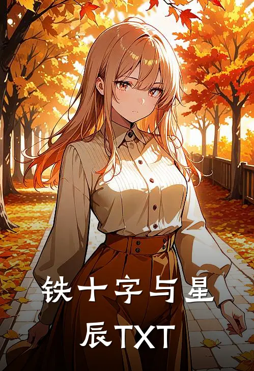 铁十字与星辰TXT