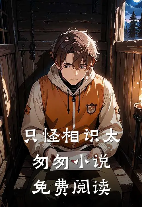 只怪相识太匆匆小说免费阅读