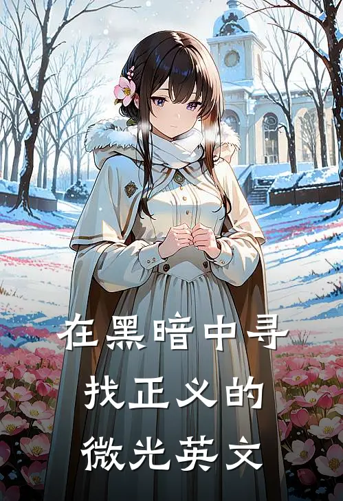 在黑暗中寻找正义的微光英文